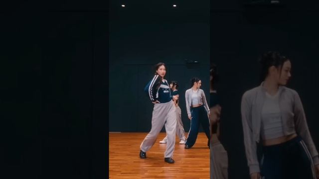 [Mirrored] New Jeans - 