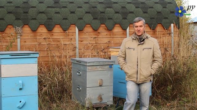 Сколько стоит мёд смотреть онлайн