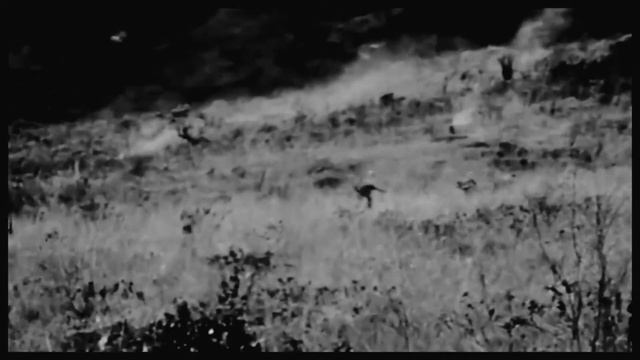 Бегу по тропинке в голове вьетнам смотреть онлайн