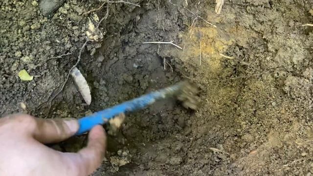 Treasure Hunting By Metal Detector / Metal Detecting смотреть онлайн