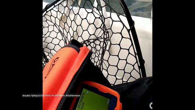 А Ахапкин у Радзишевского рассказ про камеру CALYPSO дек 2020 смотреть онлайн