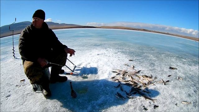 Приколы на рыбалке! смотреть онлайн