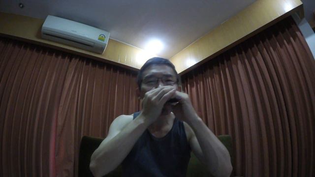 明日があるさ --- 10 holes harmonica --- смотреть онлайн