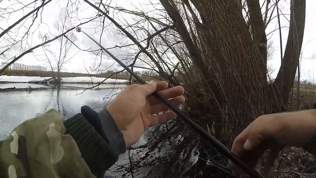 Хорошая плотва на боковой кивок в апреле смотреть онлайн