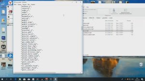 Как установить Повелитель Зоны на STALKER Тень Чернобыля