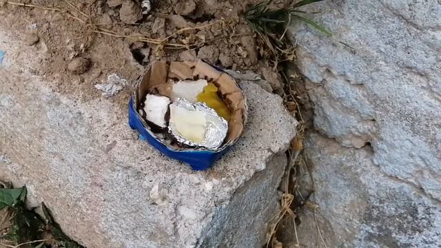 Как выглядит праздник у муравьёв в виде 30г сахара смотреть онлайн