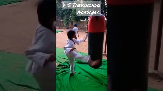 D S Taekwondo Acadamy Anantapur смотреть онлайн