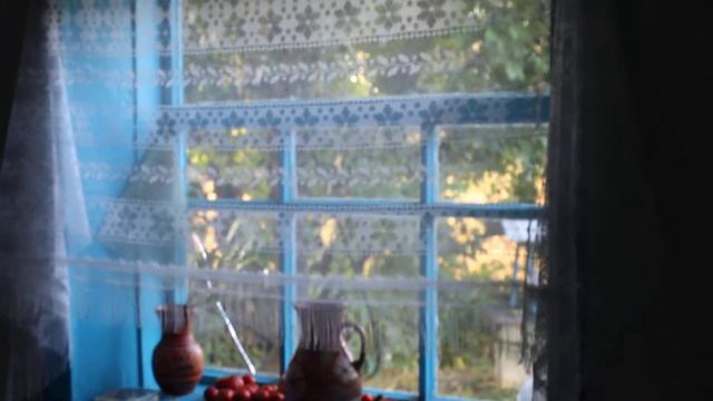 24.08.2020 року. Верхня Мануйлівка. Неофіційний музей письменника Григора Тютюнника. смотреть онлайн