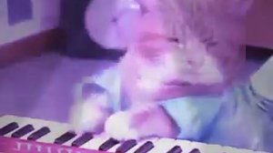 КОТ ИГРАЕТ НА 🎹ПИОНИНЕ 🎹