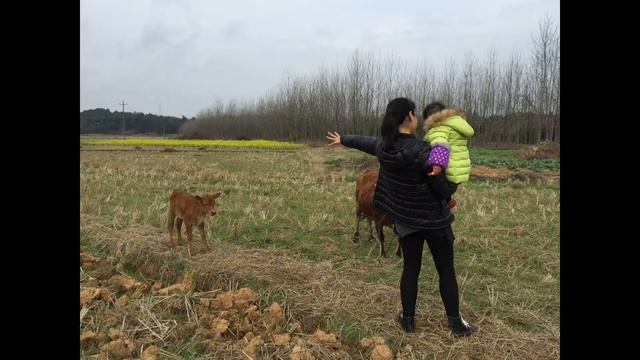 Trip to Dongxiang, Fuzhou City смотреть онлайн