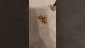 замена термопара на газовую плиту духовку