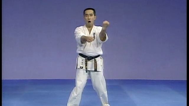 Энциклопедия Киокушин каратэ (вторая редакция - русский язык - с ката). Часть 3. смотреть онлайн