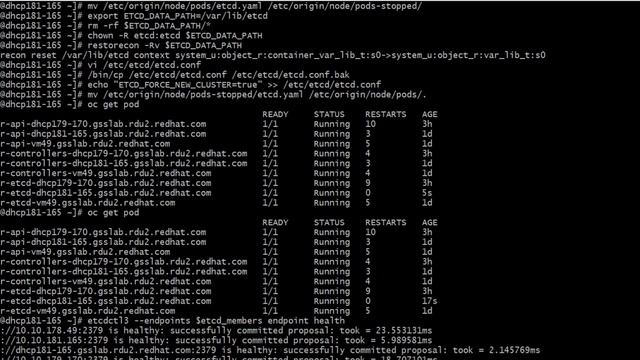 ETCD Recovery Single Member Static Pod смотреть онлайн