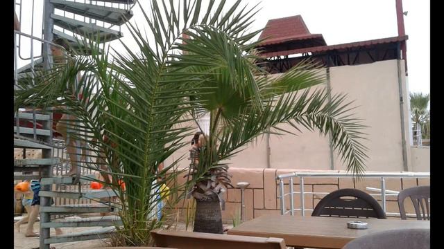 Отель Санбел. Club Hotel Sunbel 4*. Турция. Кемер. Белдиби. Слайд-шоу (Архив). Turkey. Kemer. смотреть онлайн