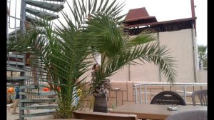 Отель Санбел. Club Hotel Sunbel 4*. Турция. Кемер. Белдиби. Слайд-шоу (Архив). Turkey. Kemer.