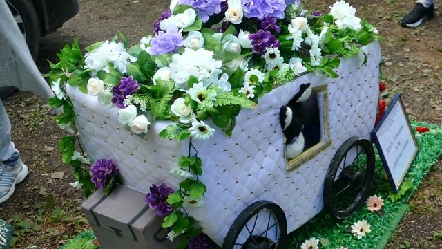 выставка цветов - ЧМЗ Челябинск смотреть онлайн