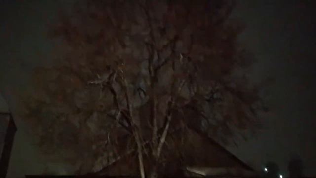 Аномальная смена температуры в г.Жуковка.За сутки с минус 23, до плюс 3.Последствия.Брянская област смотреть онлайн