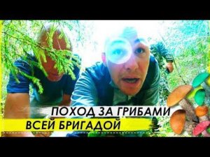 Экстремальный Поход За Грибами / Жёсткие Препятствия в Лесу