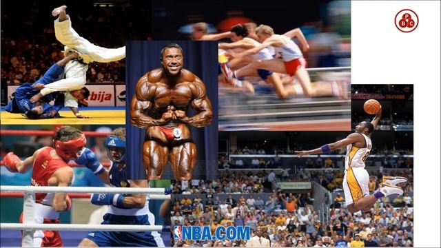 Webinar  Успешная  бизнес модель розницы