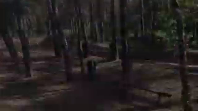 MX PRACTICE with dutch boy Mike Bolink and the boy from Norway Sander Agard-Michelsen смотреть онлайн