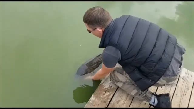 Ловим карпа безлимит РК «Фишка» Петряиха смотреть онлайн