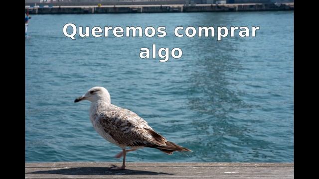 Курс разговорного испанского языка. Урок 17 смотреть онлайн