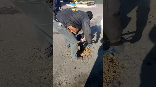 Тест китайского мотобура BauMaster смотреть онлайн