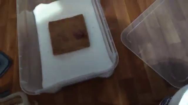 Пошаговый запуск большого контейнера с трубочником Изя или Израильским трубочник смотреть онлайн