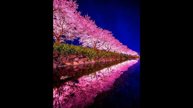 Alepor-Толпы кричат Remix (Сингл) смотреть онлайн