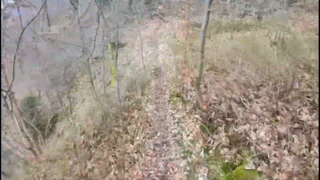 Trailløb om Haldsø - i alt 20 kilometer med 420 højdemeter ⛰️🏃🏻♂️ смотреть онлайн