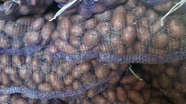 Поставка картофеля официальному бизнесу регионов РФ. Договор-планирование-оплата-отгрузка. смотреть онлайн