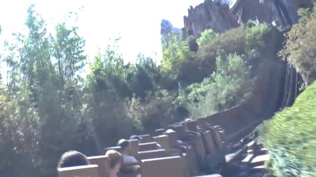 Парк Animal Kingdom, Орландо, США