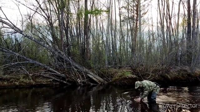 Прогулки по реке Читинка смотреть онлайн
