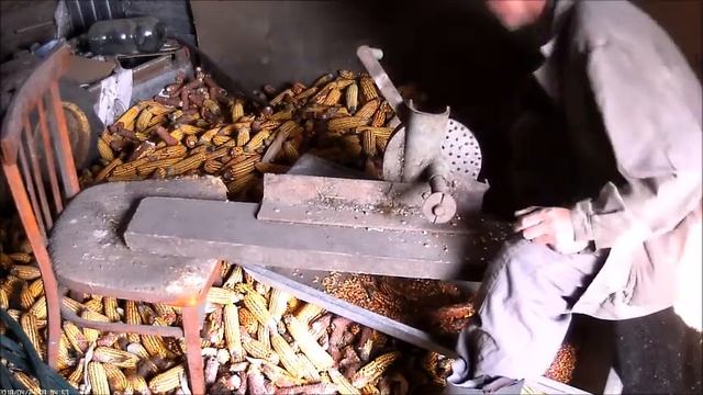 Каким способом из початков кукурузы я получаю чистое зерно