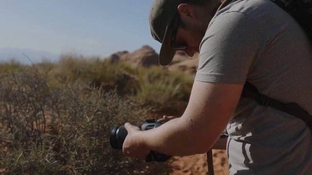 The BEST Cinema Camera for the Money | BMPCC 6K Pro смотреть онлайн