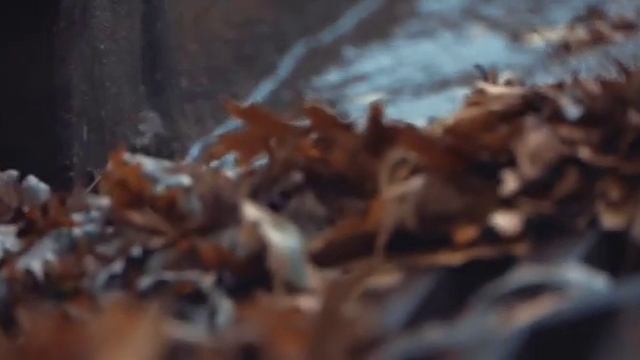 "СИЛЬНЫЕ ЧУВСТВА" Артём Молофеев (видео, стихи, исполнение) смотреть онлайн