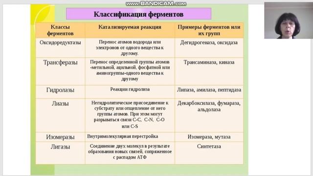Ферменты, химическое строение, классификация Регуляция ферментативной активности Энзимопатии Осн смотреть онлайн