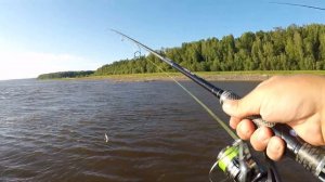 Рыбалка Приобье Обь 2023