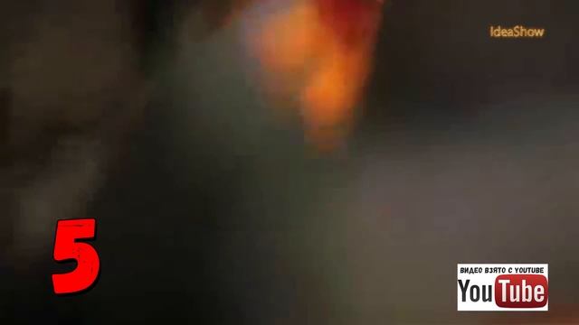 топ 10 животных с уникальными способностями смотреть онлайн