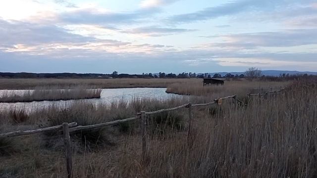 Национальный парк провинции Гроссето | Scarlino смотреть онлайн