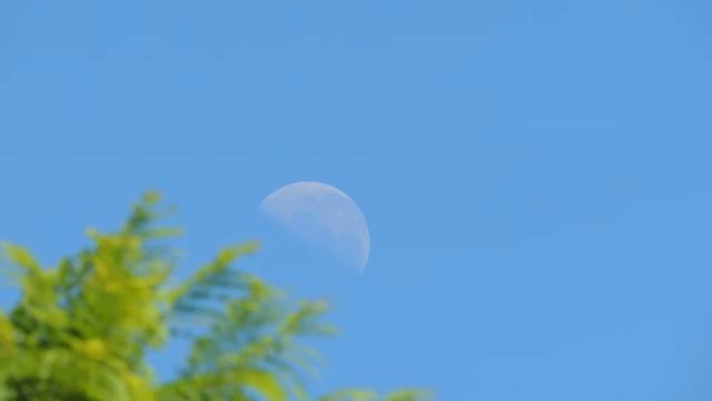 Nikon Coolpix 510_Moon Zoom Test смотреть онлайн