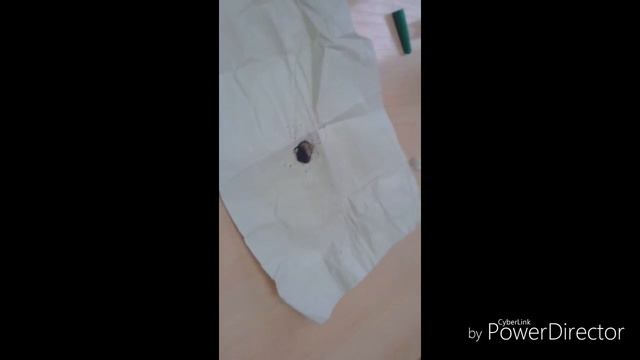 На уроке физики мы хотели сделать эксперимент. смотреть онлайн