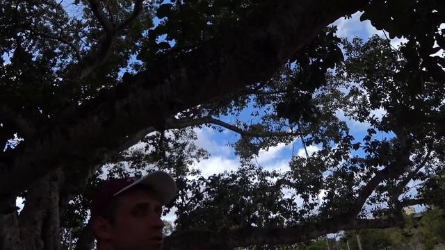 Антигуа и Барбуда (г.Сент-Джонс). Путешествие по Карибским островам. Antigua and Barbuda (St.John's смотреть онлайн