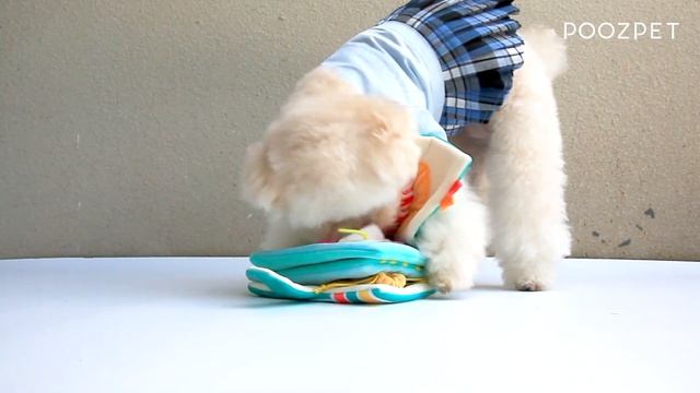 POOZPET - Snuffle Book 7twelve Food Guide смотреть онлайн