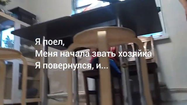 Короче говоря, я бездомный котенок смотреть онлайн