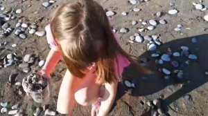 РАПАНЫ//СБОР МОРЕПРОДУКТОВ ПОСЛЕ ШТОРМА