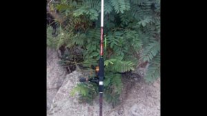 Обзор(мнение) удилища Aspen Stake