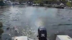 PARSUN 30 + Днепр. Первый запуск