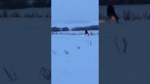 Мопед альфа по снегу . Мопед зимой . Покатушки на альфе .