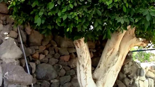 Египет. Хургада. Сафага. Отель  Shams Safaga 4*.